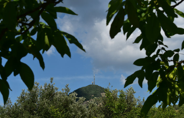 Parco Ginestre a Rivadolmo di Baone