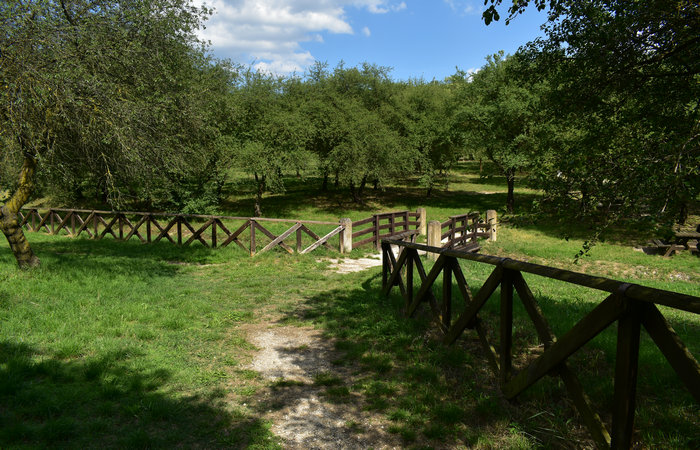 Parco Ginestre a Rivadolmo di Baone