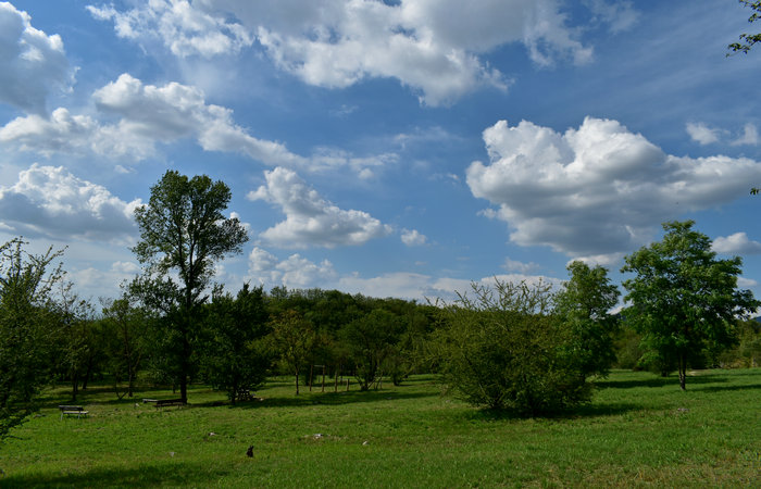 Parco Ginestre a Rivadolmo di Baone