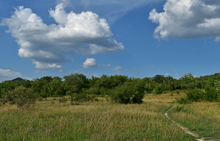 Parco Ginestre a Rivadolmo di Baone