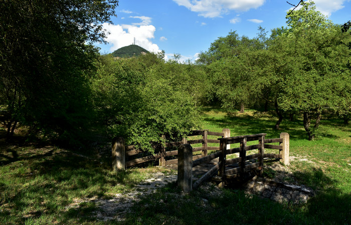 Parco Ginestre a Rivadolmo di Baone