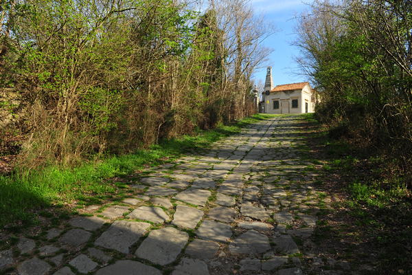 Sentiero del Principe da Este a Calaone di Baone
