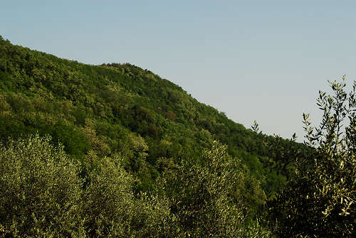 sentiero Monte Cecilia a Baone