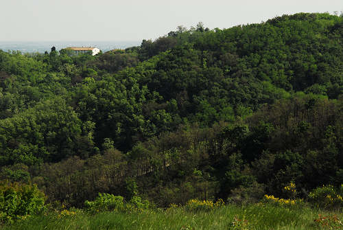 sentiero Monte Cecilia a Baone