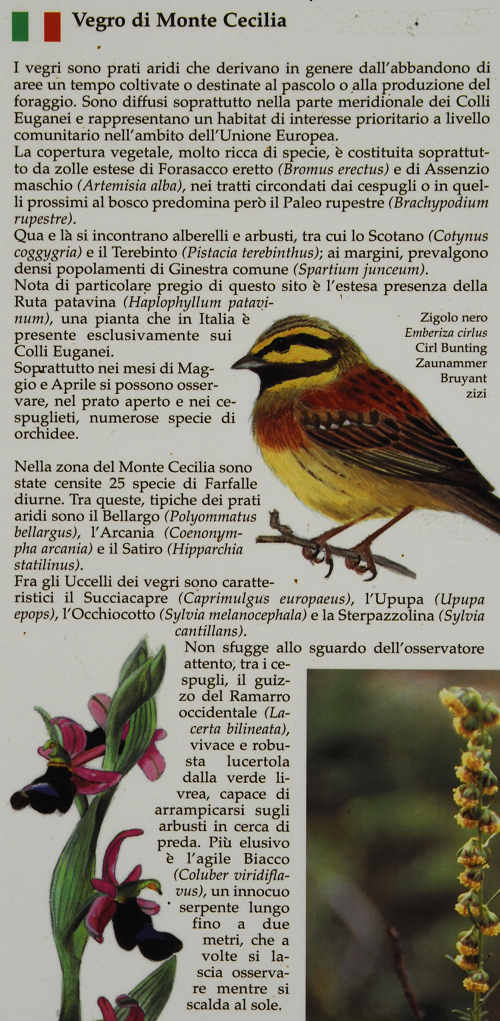 sentiero Monte Cecilia a Baone