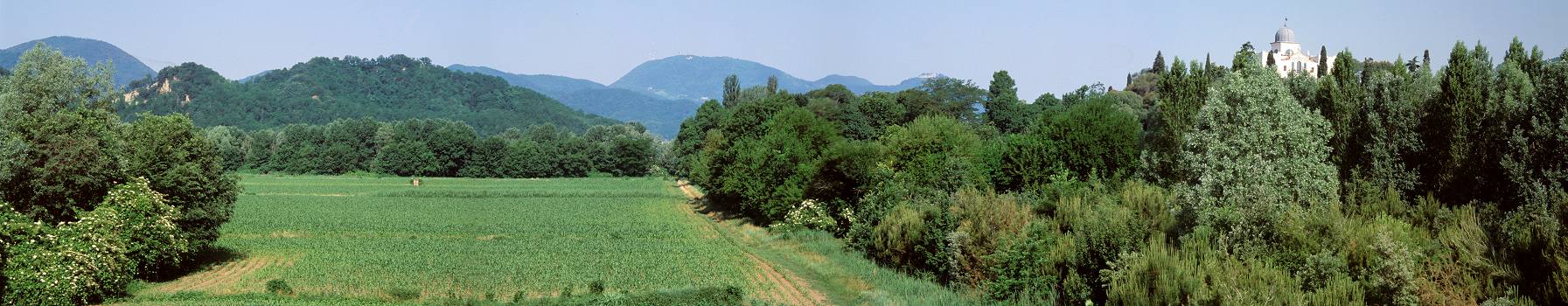 I Colli Euganei dall'argine del Canale Bisatto a Battaglia Terme: colle di Sant'Elena - villa Selvatico