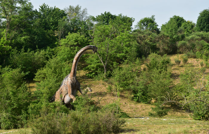 Cinto Euganeo: escursione dal museo di Cava Bomba alla cava di riolite al monte Cinto e al Buso dei Briganti