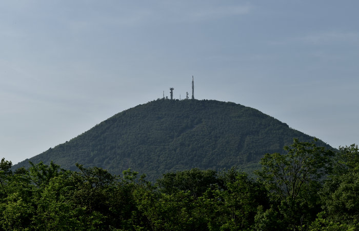 Cinto Euganeo: escursione dal museo di Cava Bomba alla cava di riolite al monte Cinto e al Buso dei Briganti