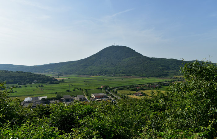 Cinto Euganeo: escursione dal museo di Cava Bomba alla cava di riolite al monte Cinto e al Buso dei Briganti