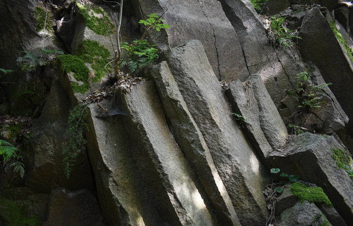 Cinto Euganeo: escursione dal museo di Cava Bomba alla cava di riolite al monte Cinto e al Buso dei Briganti