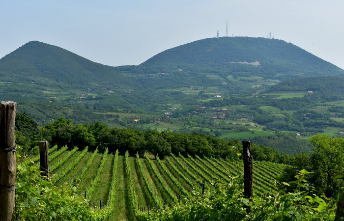 Cinto Euganeo: escursione dal museo di Cava Bomba alla cava di riolite al monte Cinto e al Buso dei Briganti