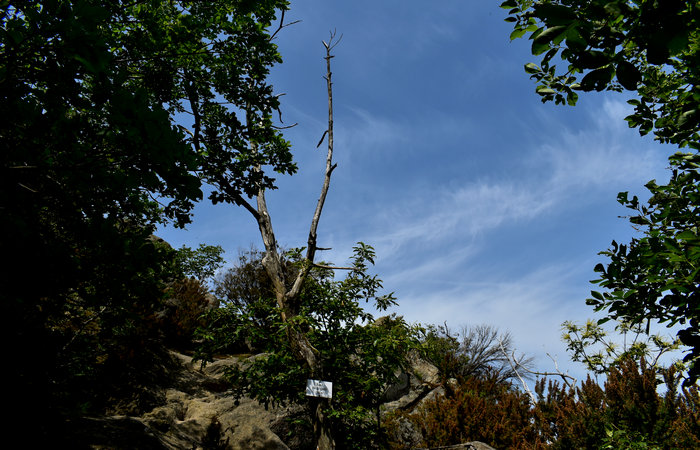 Cinto Euganeo: escursione dal museo di Cava Bomba alla cava di riolite al monte Cinto e al Buso dei Briganti