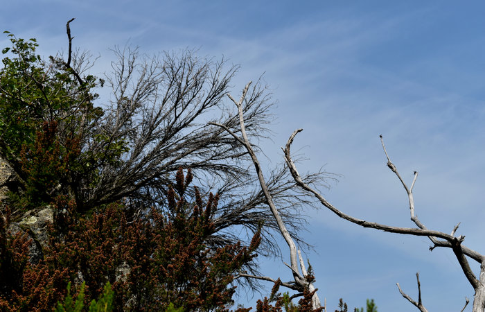 Cinto Euganeo: escursione dal museo di Cava Bomba alla cava di riolite al monte Cinto e al Buso dei Briganti