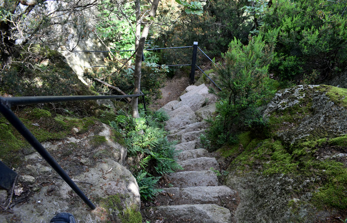 Cinto Euganeo: escursione dal museo di Cava Bomba alla cava di riolite al monte Cinto e al Buso dei Briganti