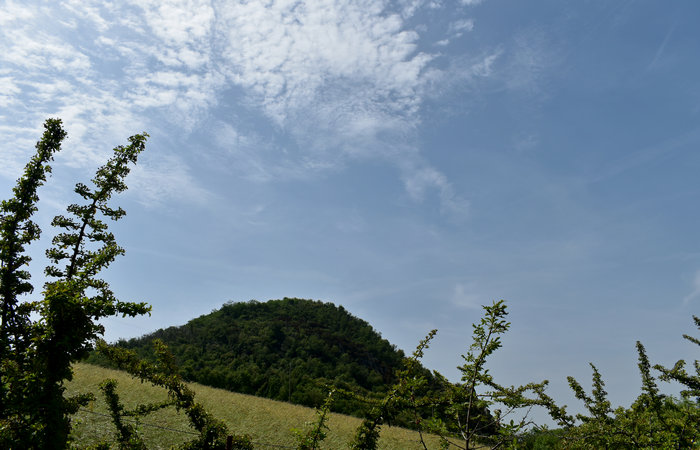 Cinto Euganeo: escursione dal museo di Cava Bomba alla cava di riolite al monte Cinto e al Buso dei Briganti