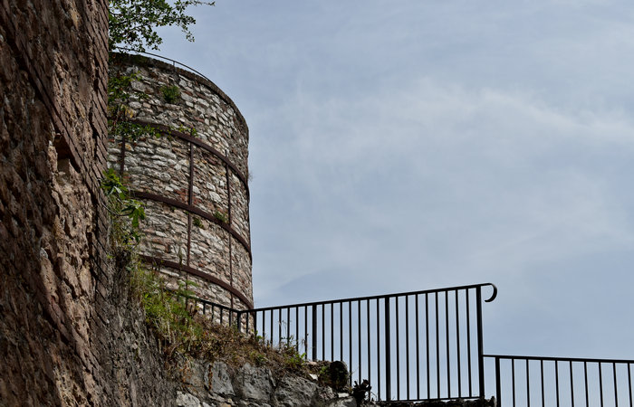 Cinto Euganeo: escursione dal museo di Cava Bomba alla cava di riolite al monte Cinto e al Buso dei Briganti