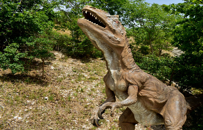 Cinto Euganeo: escursione dal museo di Cava Bomba alla cava di riolite al monte Cinto e al Buso dei Briganti