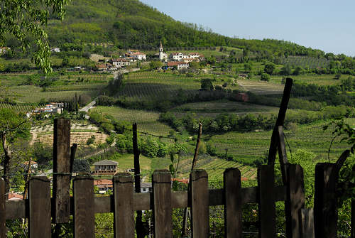 Monte Cinto, Buso dei Briganti, Cava Bomba - Cinto Euganeo