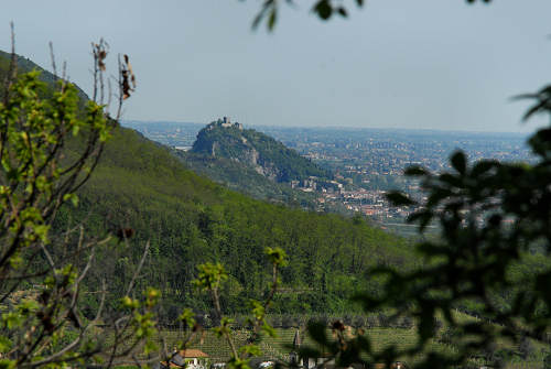 Monte Cinto, Buso dei Briganti, Cava Bomba - Cinto Euganeo