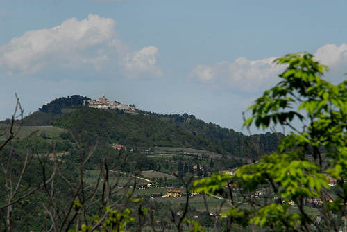 Monte Cinto, Buso dei Briganti, Cava Bomba - Cinto Euganeo