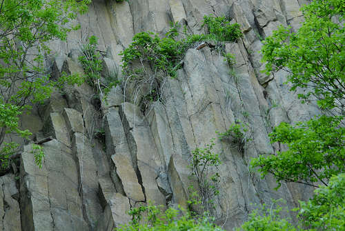 Monte Cinto, Buso dei Briganti, Cava Bomba - Cinto Euganeo