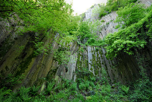 Monte Cinto, Buso dei Briganti, Cava Bomba - Cinto Euganeo
