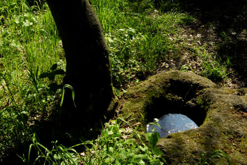 Monte Cinto, Buso dei Briganti, Cava Bomba - Cinto Euganeo