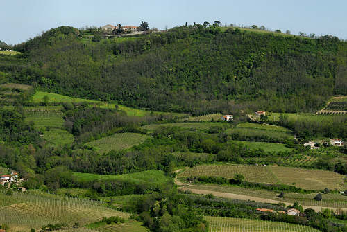 Monte Cinto, Buso dei Briganti, Cava Bomba - Cinto Euganeo