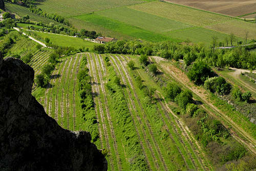 Monte Cinto, Buso dei Briganti, Cava Bomba - Cinto Euganeo