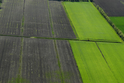 Monte Cinto, Buso dei Briganti, Cava Bomba - Cinto Euganeo