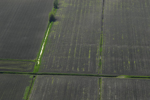 Monte Cinto, Buso dei Briganti, Cava Bomba - Cinto Euganeo