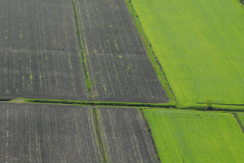 Monte Cinto, Buso dei Briganti, Cava Bomba - Cinto Euganeo