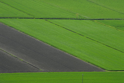 Monte Cinto, Buso dei Briganti, Cava Bomba - Cinto Euganeo