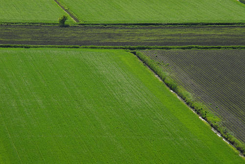 Monte Cinto, Buso dei Briganti, Cava Bomba - Cinto Euganeo