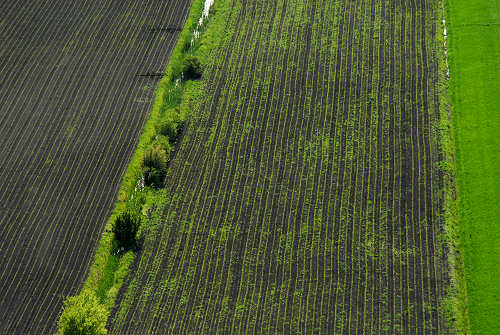 Monte Cinto, Buso dei Briganti, Cava Bomba - Cinto Euganeo