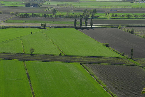 Monte Cinto, Buso dei Briganti, Cava Bomba - Cinto Euganeo