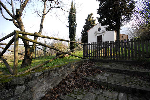 Monte Rusta, Fontanafredda Cinto Euganeo
