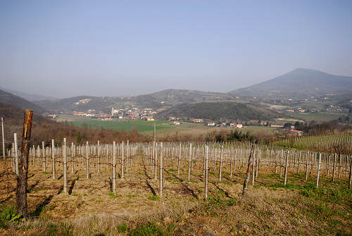 Monte Rusta, Fontanafredda Cinto Euganeo