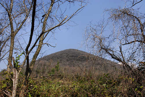 Monte Rusta, Fontanafredda Cinto Euganeo