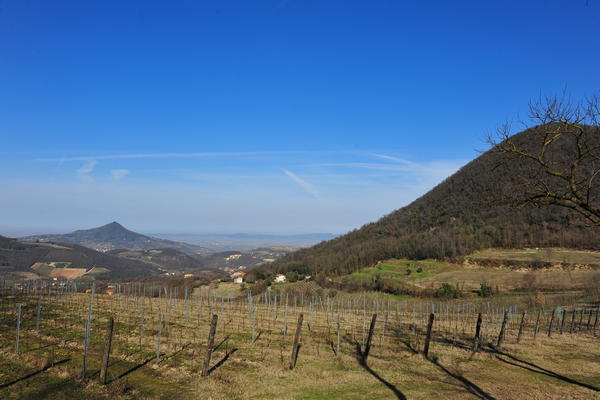 Monte Rusta, Fontanafredda Cinto Euganeo