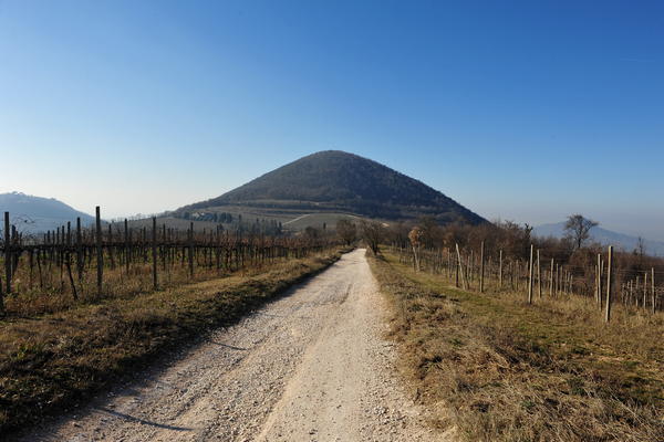 Monte Rusta, Fontanafredda Cinto Euganeo