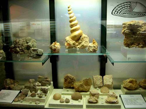 Cava Bomba - Cinto Euganeo