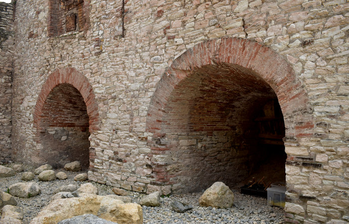 Museo Geopaleontologico di Cava Bomba a Cinto Euganeo, Colli Euganei
