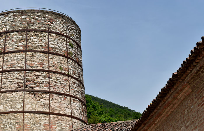 Museo Geopaleontologico di Cava Bomba a Cinto Euganeo, Colli Euganei