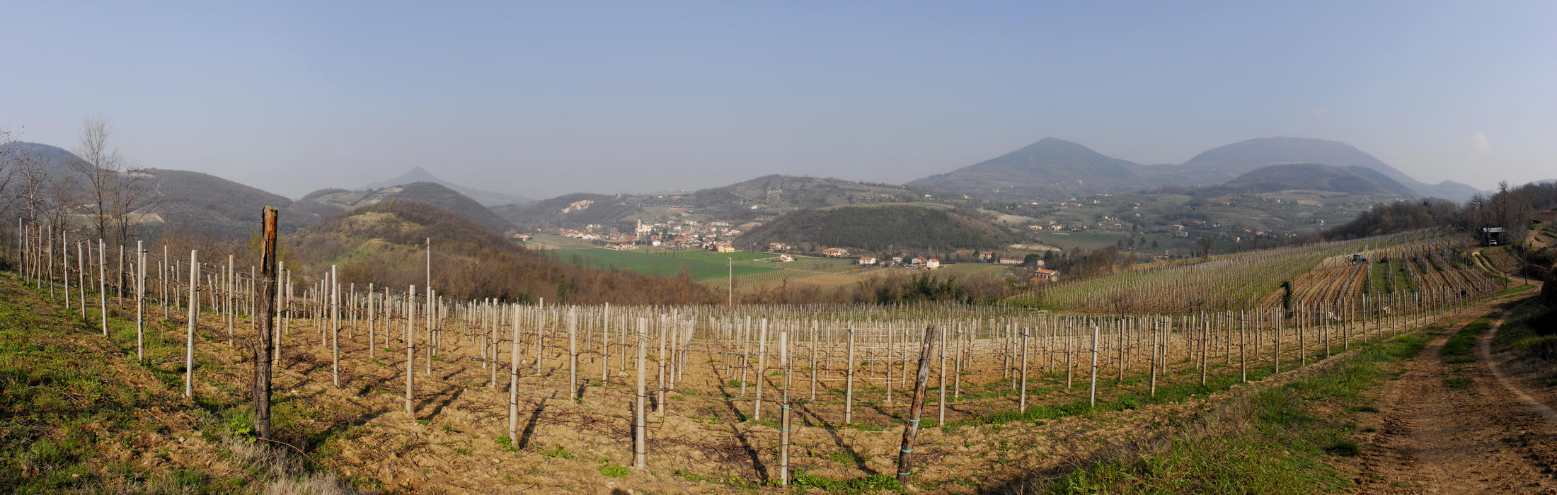 monte Rusta e Fontanafredda di Cinto Euganeo