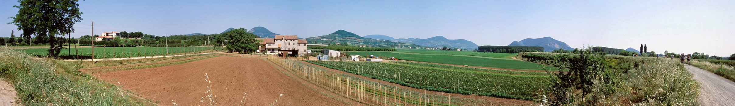 Colli Euganei (Padova), lungo il Canale Bisatto tra Monselice ed Este