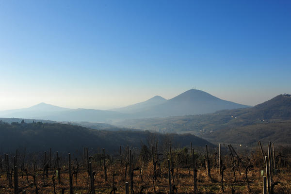 sentiero del monte Fasolo e del monte Rusta nei Colli Euganei