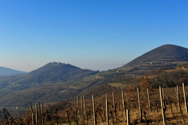 sentiero del monte Fasolo e del monte Rusta nei Colli Euganei