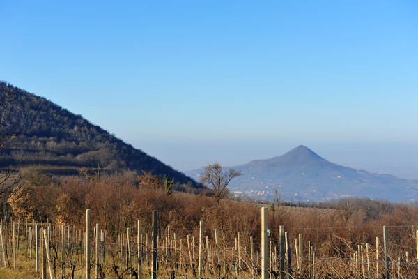 sentiero del monte Fasolo e del monte Rusta nei Colli Euganei