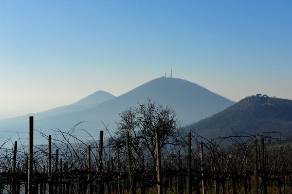 sentiero del monte Fasolo e del monte Rusta nei Colli Euganei